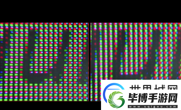 怪物猎人