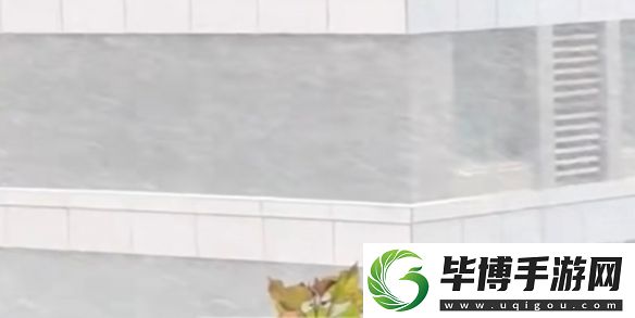 山东雨雪天气引热议